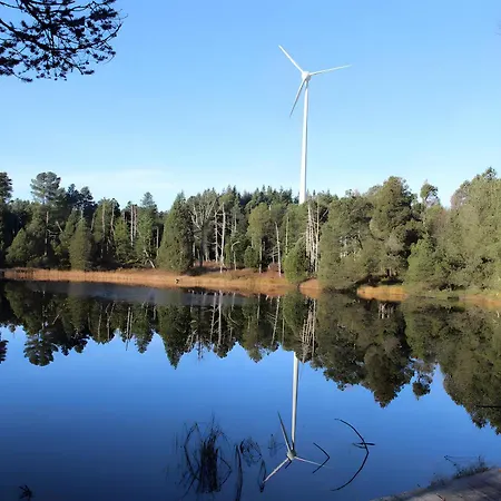 Windradblick Apartment Schonach im Schwarzwald