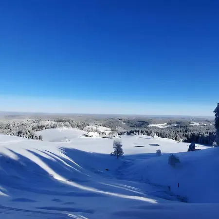 Windradblick * Schonach im Schwarzwald