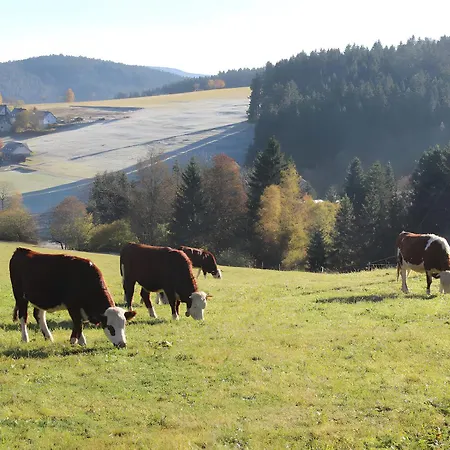 Apartment Windradblick