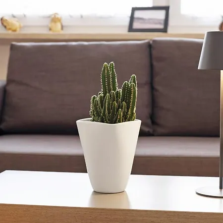 Apartment Windradblick