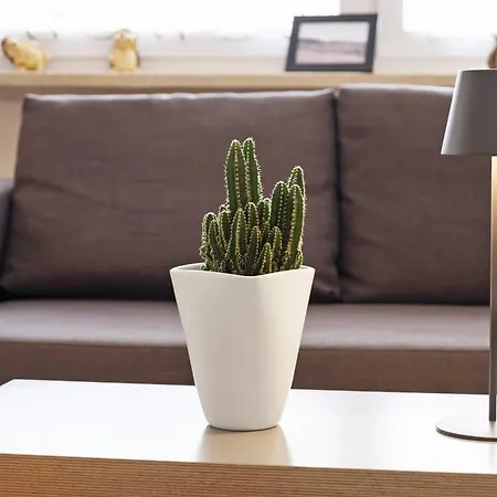 Windradblick Apartment