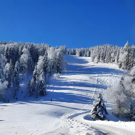 Windradblick Schonach im Schwarzwald