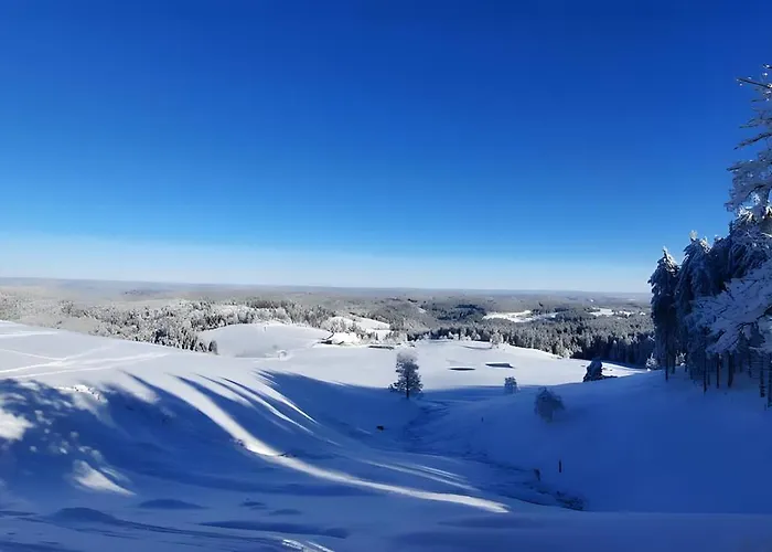 Windradblick * Schonach im Schwarzwald