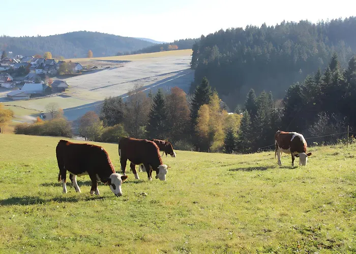 Lägenhet Windradblick