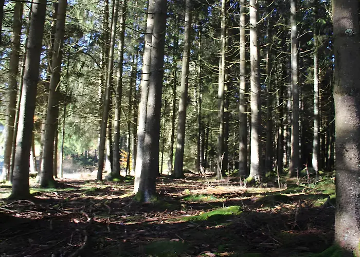 Lägenhet Windradblick Schonach im Schwarzwald