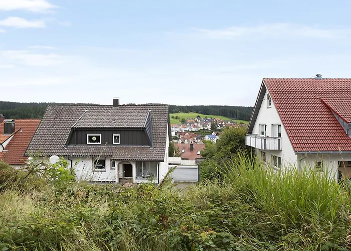 Windradblick * Schonach im Schwarzwald